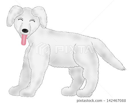 Illustration of a fluffy white dog Illustration of a fluffy white dog 142467088