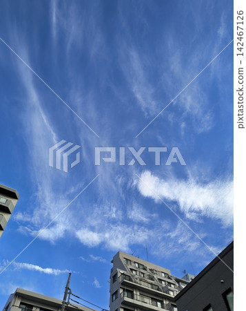 Summer sky in everyday life Summer sky in everyday life 142467126
