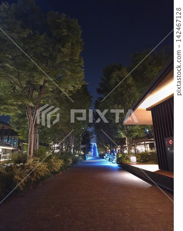 立川,夜幕下的綠泉,生物群落 2 立川,夜幕下的綠泉,生物群落 2 142467128