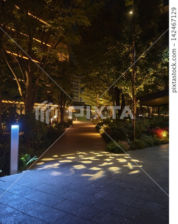 Tachikawa, Green Springs at night, Biotope 1 Tachikawa, Green Springs at night, Biotope 1 142467129