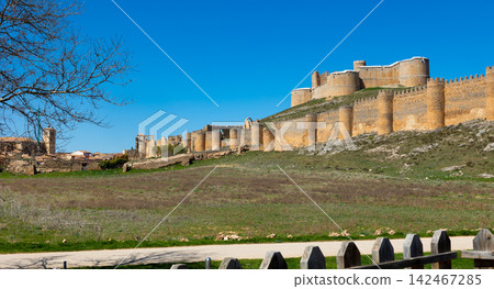 Remains of ancient fortified castle at Berlanga de Duero, Spain 142467285