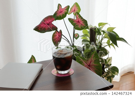 iced coffee iced coffee 142467324