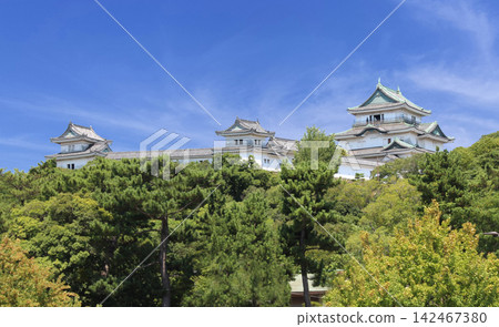藍天和和歌山城堡 142467380