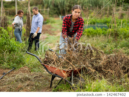 Woman takes out bunch of branches, puts garbage in wheelbarrow Woman takes out bunch of branches, puts garbage in wheelbarrow 142467402