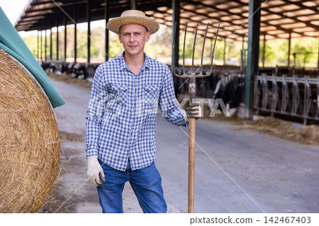 Male farmer posing in cowshed at the cow farm Male farmer posing in cowshed at the cow farm 142467403
