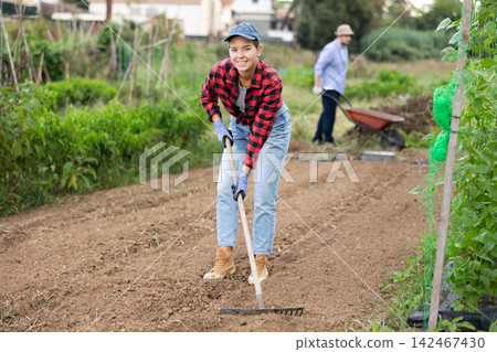 Peasant girl is working in garden with rake Peasant girl is working in garden with rake 142467430