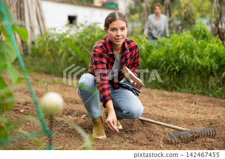 Woman is planting seeds in open ground Woman is planting seeds in open ground 142467455