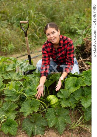 Girl farmer shows off grown zucchini in garden bed Girl farmer shows off grown zucchini in garden bed 142467490