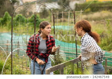 Two women quarrel at border of garden plots Two women quarrel at border of garden plots 142467549
