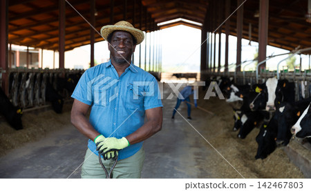 Hired worker with agricultural tool in hands in cowshed Hired worker with agricultural tool in hands in cowshed 142467803