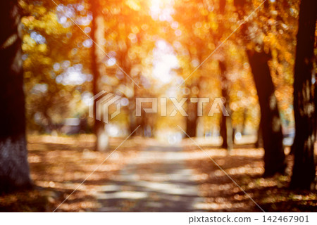 Autumnal park. Blurred background. Bright colorful bokeh. 142467901