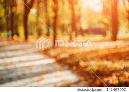 Autumnal park. Blurred background. Bright colorful bokeh. Autumnal park. Blurred background. Bright colorful bokeh. 142467902