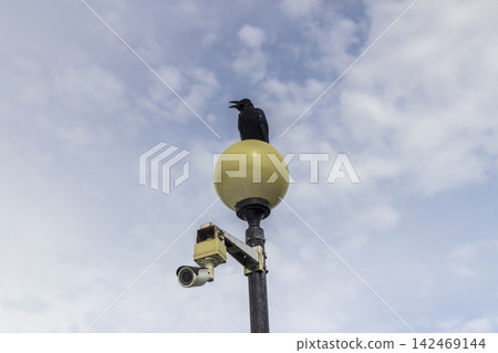 Two black birds perch on a streetlight above a surveillance camera against a cloudy sky with ample copy space. Two black birds perch on a streetlight above a surveillance camera against a cloudy sky with ample copy space. 142469144
