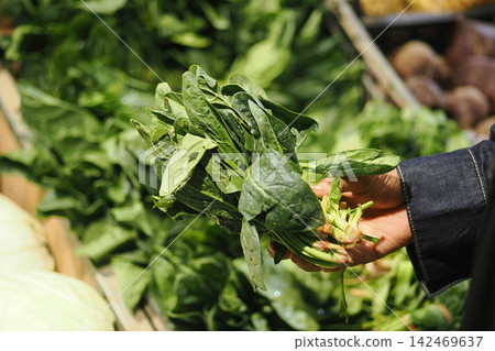 Person holds fresh spinach in a market Person holds fresh spinach in a market 142469637