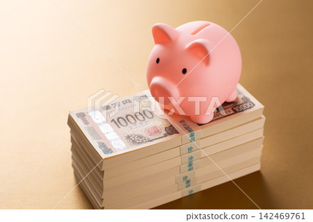一疊700萬日圓鈔票、一個粉紅色小豬存錢筒、一個金袋 一疊700萬日圓鈔票、一個粉紅色小豬存錢筒、一個金袋 142469761