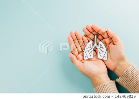 Lungs paper held by two hands represents World TB Day. Raising awareness about tuberculosis Lungs paper held by two hands represents World TB Day. Raising awareness about tuberculosis 142469829