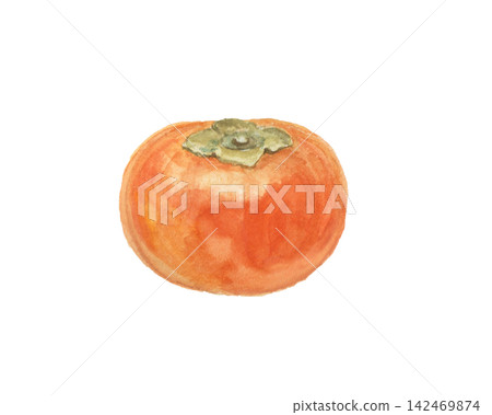 A realistic persimmon painted with watercolors A realistic persimmon painted with watercolors 142469874