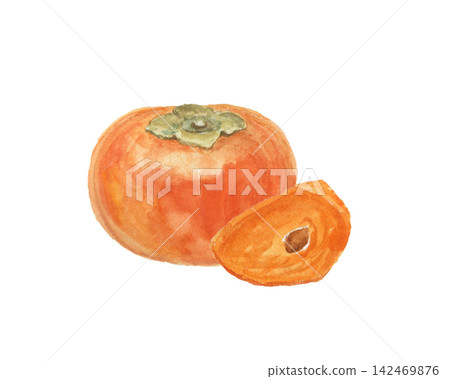 A realistic persimmon painted with watercolors A realistic persimmon painted with watercolors 142469876