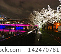 Night view and cherry blossoms from near Kyobashi Station and Tenmabashi in Osaka 142470781