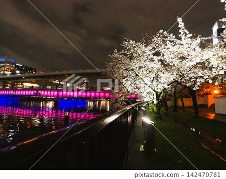 大阪京橋站和天滿橋附近的夜景和櫻花 大阪京橋站和天滿橋附近的夜景和櫻花 142470781