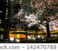 Night view and cherry blossoms from near Kyobashi Station and Tenmabashi in Osaka 142470788