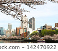 Views of cherry blossoms from Kyobashi Station and Tenmabashi in Osaka 142470922