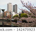 Views of cherry blossoms from Kyobashi Station and Tenmabashi in Osaka 142470923