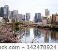 Views of cherry blossoms from Kyobashi Station and Tenmabashi in Osaka 142470924