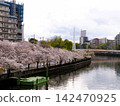 Views of cherry blossoms from Kyobashi Station and Tenmabashi in Osaka 142470925