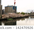 Views of cherry blossoms from Kyobashi Station and Tenmabashi in Osaka 142470926