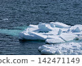 Drift ice floating on the sea 142471149
