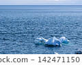 Drift ice floating on the sea 142471150