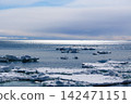 Drift ice floating on the sea 142471151
