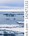 Drift ice floating on the sea 142471152