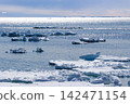Drift ice floating on the sea 142471154