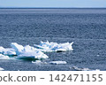 Drift ice floating on the sea 142471155