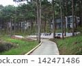 Modern villas among pine trees at a hillside resort 142471486