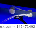 Silhouetted hand photographing jellyfish in a blue-lit aquarium tank 142471492
