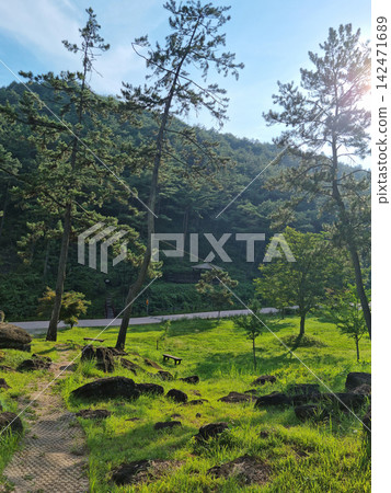 road, park, hill 142471689