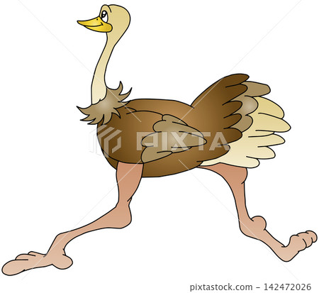 手繪動物插畫 ☆ 鴕鳥 手繪動物插畫 ☆ 鴕鳥 142472026