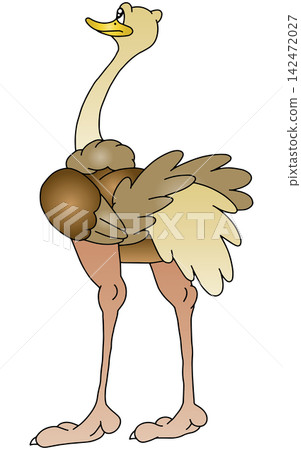 手繪動物插畫 ☆ 鴕鳥 142472027