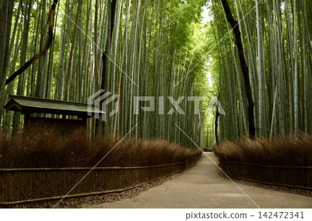 這張照片是從京都嵐山竹林小徑西端附近拍攝的。 這張照片是從京都嵐山竹林小徑西端附近拍攝的。 142472341