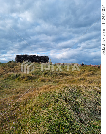This is the autumn scenery of Seopjikoji, Jeju Island. This is the autumn scenery of Seopjikoji, Jeju Island. 142472834