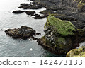 Rocky coast and bird cliffs at Londrangar in Iceland 142473133