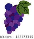 Simple grape illustration 142473345