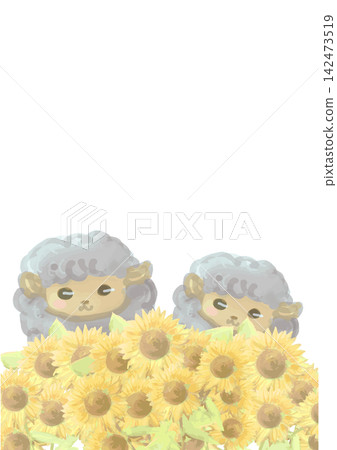 An illustration of sunflowers and sheep. Zodiac animal material for New Year's cards. An illustration of sunflowers and sheep. Zodiac animal material for New Year's cards. 142473519