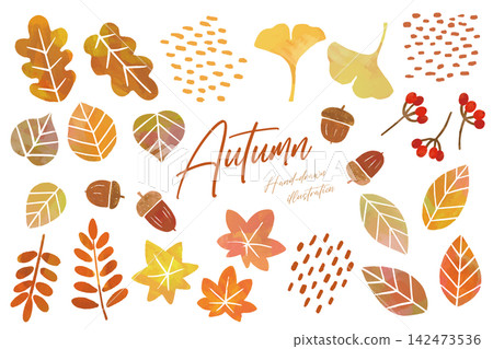 A set of hand-drawn illustrations of autumn leaves, acorns, and nuts. A set of hand-drawn illustrations of autumn leaves, acorns, and nuts. 142473536