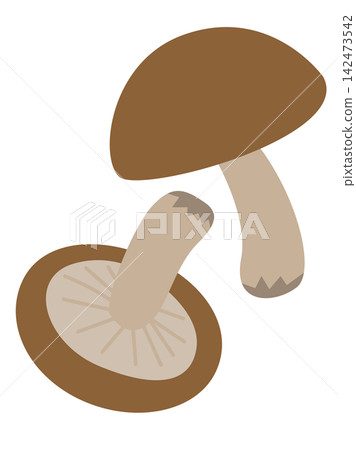Shiitake mushroom illustration: cap and gills on the underside. Shiitake mushroom illustration: cap and gills on the underside. 142473542