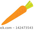 Illustration of a carrot: Carrot with leaves attached - an ingredient for hot pot and stews. 142473543