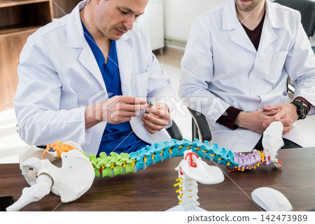 Doctor show polyaxial screw on the spine model. Spine fixation systems Doctor show polyaxial screw on the spine model. Spine fixation systems 142473989